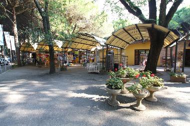 Chalet in Lido degli Estensi (Ferrara) or holiday homes and vacation rentals