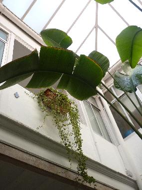 Holiday Apartment in Jerez de la Frontera (C�diz) or holiday homes and vacation rentals