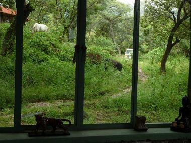 Holiday House in Tepoztl�n (Morelos) or holiday homes and vacation rentals