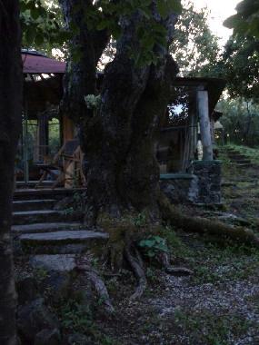 Holiday House in Tepoztl�n (Morelos) or holiday homes and vacation rentals