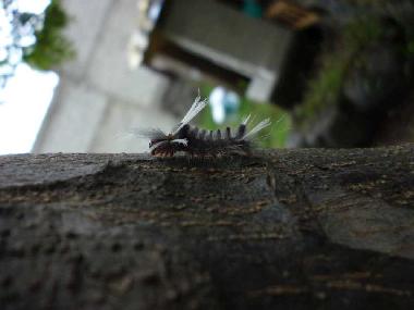 Holiday House in Tepoztl�n (Morelos) or holiday homes and vacation rentals