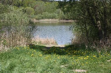 Holiday Apartment in Feldberger Seenlandschaft (Mecklenburgische Seenplatte) or holiday homes and vacation rentals