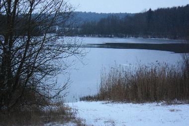 Holiday Apartment in Feldberger Seenlandschaft (Mecklenburgische Seenplatte) or holiday homes and vacation rentals