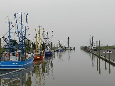 Holiday Apartment in Dorum-Neufeld (Nordsee-Festland / Ostfriesland) or holiday homes and vacation rentals