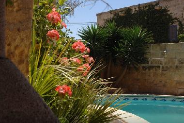 Holiday House in Insel Gozo, Qala (Gozo) or holiday homes and vacation rentals