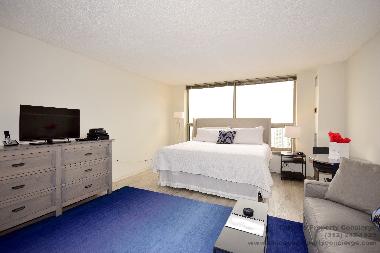 Holiday Apartment in Chicago (Illinois) or holiday homes and vacation rentals