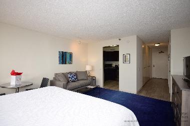 Holiday Apartment in Chicago (Illinois) or holiday homes and vacation rentals