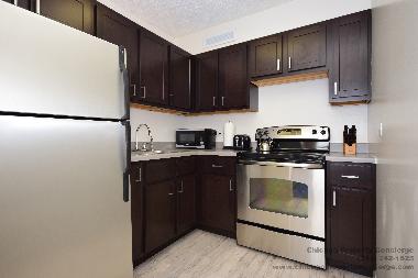 Holiday Apartment in Chicago (Illinois) or holiday homes and vacation rentals