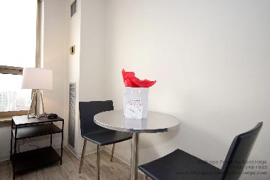 Holiday Apartment in Chicago (Illinois) or holiday homes and vacation rentals