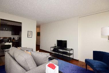 Holiday Apartment in Chicago (Illinois) or holiday homes and vacation rentals