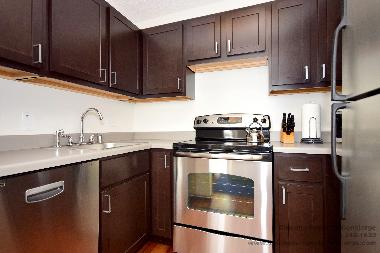 Holiday Apartment in Chicago (Illinois) or holiday homes and vacation rentals