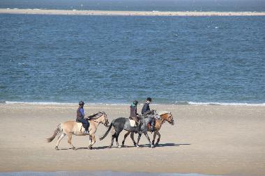 Holiday House in Renesse (Zeeland) or holiday homes and vacation rentals