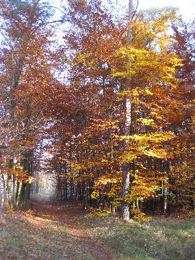 Holiday Apartment in Luebben (Dahme-Spreewald) or holiday homes and vacation rentals