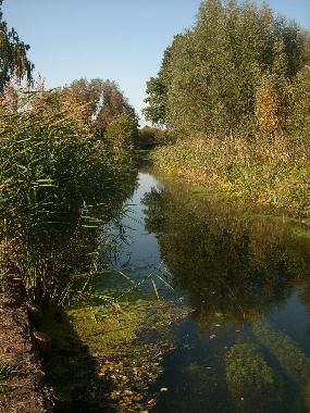 Holiday Apartment in Luebben (Dahme-Spreewald) or holiday homes and vacation rentals