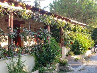 Hotel in Matala (Irakleio) or holiday homes and vacation rentals
