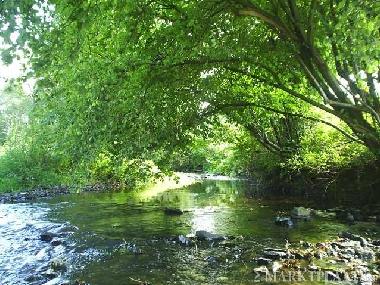 Holiday Apartment in Gemmenich (Wallonia) or holiday homes and vacation rentals