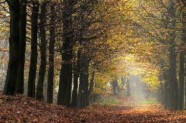 Holiday Apartment in Gemmenich (Wallonia) or holiday homes and vacation rentals