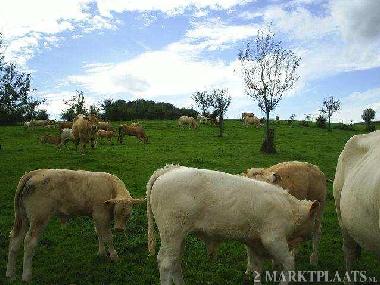 Holiday Apartment in Gemmenich (Wallonia) or holiday homes and vacation rentals