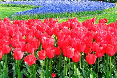 Holiday House in Schoorldam-Warmenhuizen (Noord-Holland) or holiday homes and vacation rentals