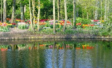 Holiday House in Schoorldam-Warmenhuizen (Noord-Holland) or holiday homes and vacation rentals