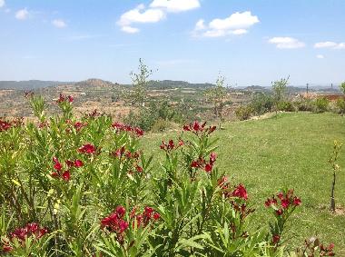 Villa in Turis (Valencia / Val�ncia) or holiday homes and vacation rentals