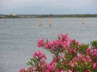 Holiday Apartment in Le Barcares (Pyrnes-Orientales) or holiday homes and vacation rentals