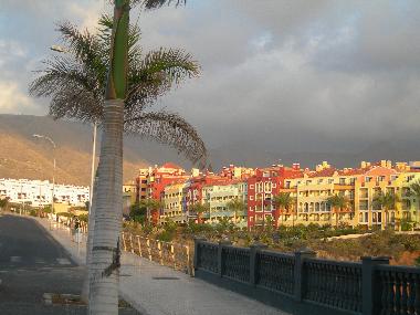 Holiday Apartment in ADEJE (Teneriffa) or holiday homes and vacation rentals