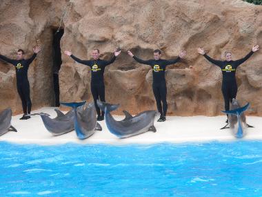 Holiday Apartment in ADEJE (Teneriffa) or holiday homes and vacation rentals