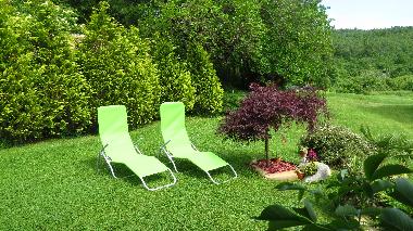 Holiday House in Roc (Istarska) or holiday homes and vacation rentals