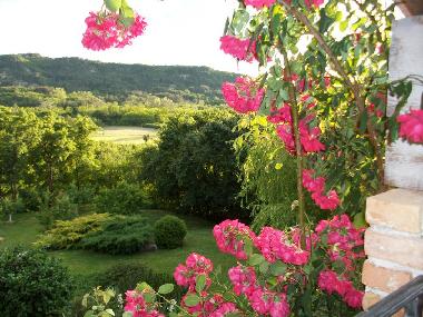 Holiday House in Roc (Istarska) or holiday homes and vacation rentals