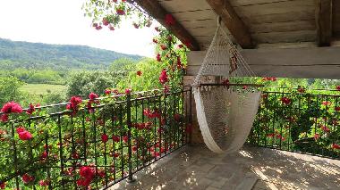 Holiday House in Roc (Istarska) or holiday homes and vacation rentals