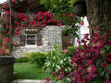 Holiday House in Roc (Istarska) or holiday homes and vacation rentals