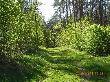 Holiday Apartment in Ghrde (Lneburger Heide) or holiday homes and vacation rentals