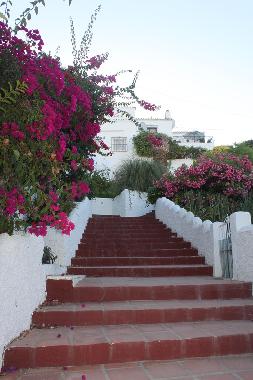 stairs leading to the house.