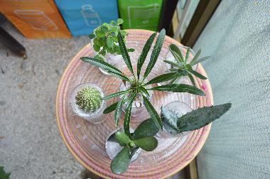 Holiday Apartment in Napoli (Napoli) or holiday homes and vacation rentals