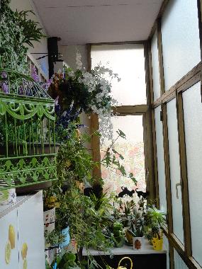 Holiday Apartment in Napoli (Napoli) or holiday homes and vacation rentals