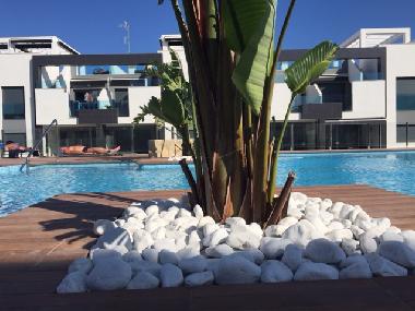 Holiday Apartment in PUNTA PRIMA (Alicante / Alacant) or holiday homes and vacation rentals