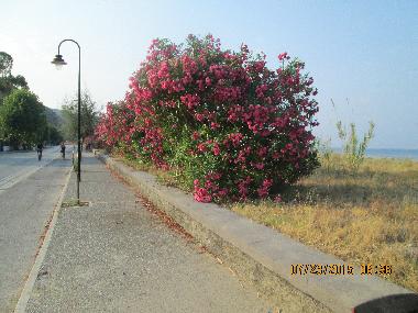 Holiday Apartment in Marina di Ascea (Salerno) or holiday homes and vacation rentals