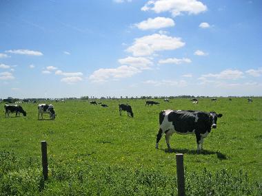 Holiday House in Bunde-Dollart (Nordsee-Festland / Ostfriesland) or holiday homes and vacation rentals