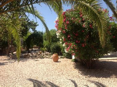 Holiday House in Denia, La Sella Golfresort (Alicante / Alacant) or holiday homes and vacation rentals