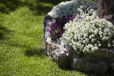 Holiday House in Duce (Splitsko-Dalmatinska) or holiday homes and vacation rentals