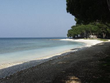Villa in Fazana (Istarska) or holiday homes and vacation rentals