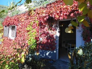 Holiday House in IMPERIA (Imperia) or holiday homes and vacation rentals