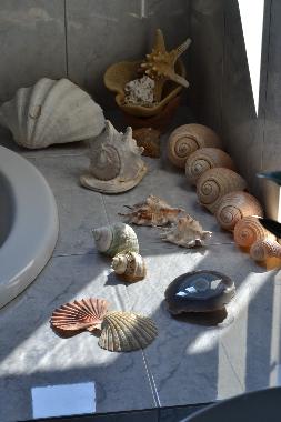 Villa in Naxos, Greece (Kyklades) or holiday homes and vacation rentals