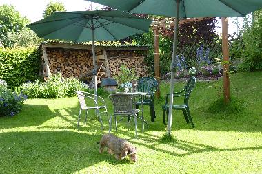 Holiday Apartment in Kall-Scheven (Eifel und Region Aachen) or holiday homes and vacation rentals
