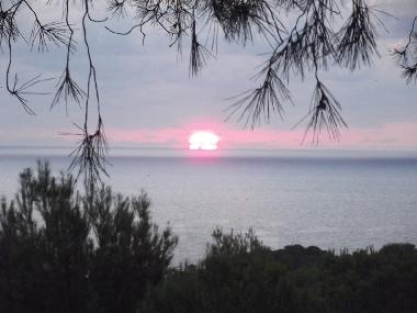 Holiday Apartment in Sant Carles de Peralta (Ibiza) or holiday homes and vacation rentals