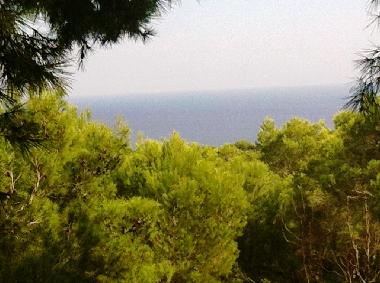 Holiday Apartment in Sant Carles de Peralta (Ibiza) or holiday homes and vacation rentals