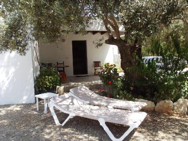 Holiday Apartment in Sant Carles de Peralta (Ibiza) or holiday homes and vacation rentals