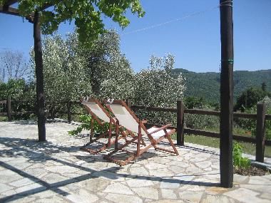 Holiday House in Paltsi (Magnisia) or holiday homes and vacation rentals