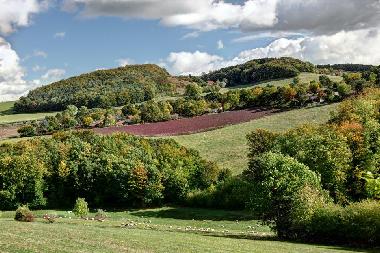 Holiday House in Extertal / Rott (Teutoburger Wald) or holiday homes and vacation rentals